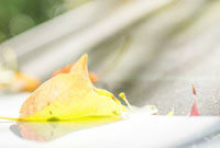 進攻次數方 進攻次數方