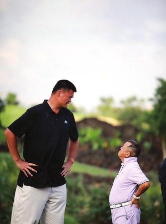 要的参考 要的参考