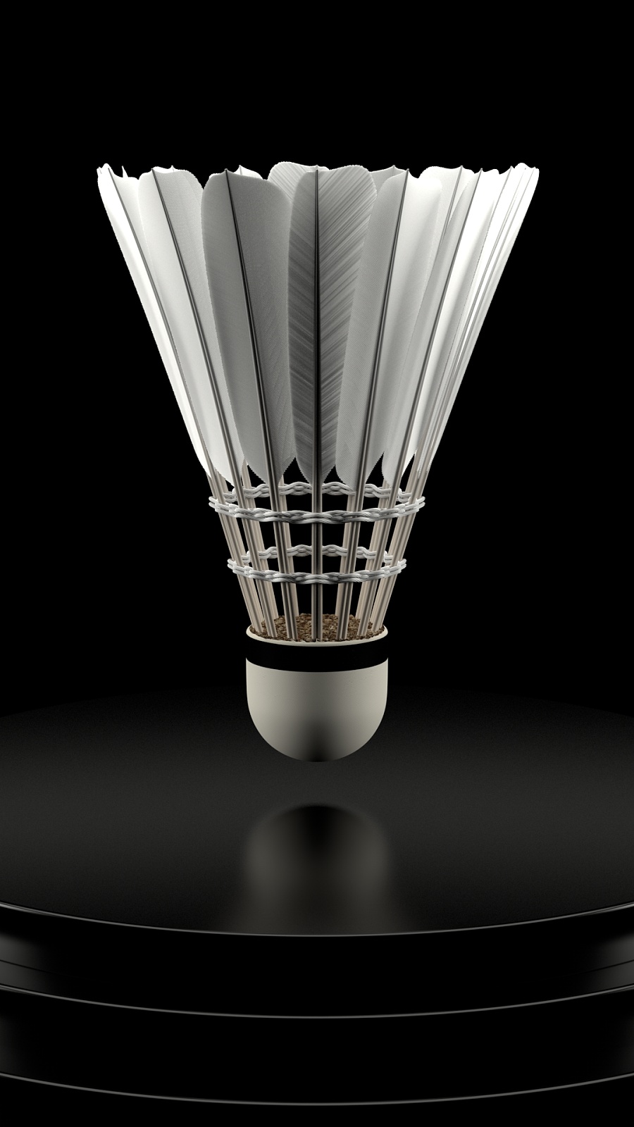 夺冠希望 夺冠希望