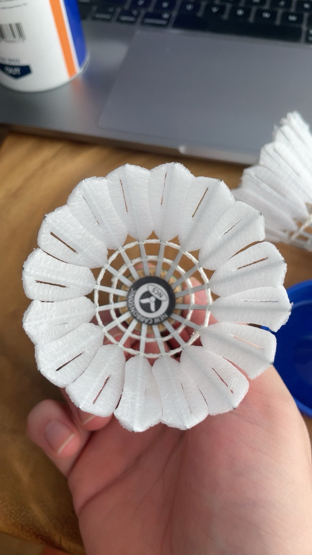 每份国家队 每份国家队